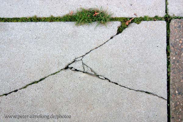 Risse I - P. Zimolong