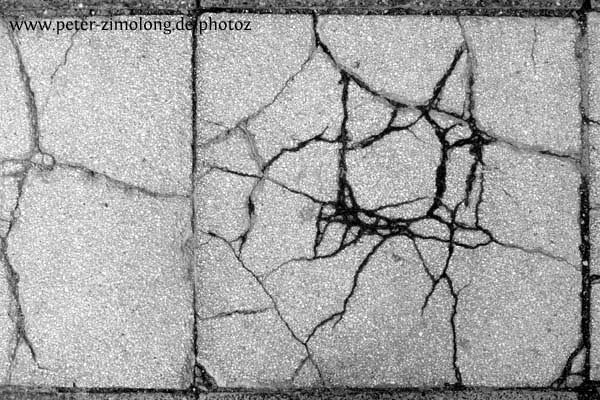 Fuchs I - P. Zimolong