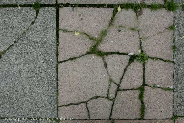 Mann mit Hund in den Bergen - P. Zimolong (2007)