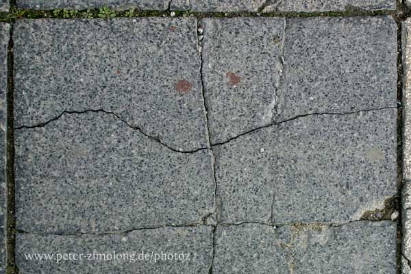 Begegnung - P. Zimolong (2007)